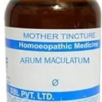 SBL Arum Maculatum Q - 100ml homeopathic mother tincture for throat and respiratory wellness support
