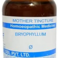 SBL Bryophyllum Calycinum Q - 100ml homeopathic mother tincture for women’s health and urinary wellness support