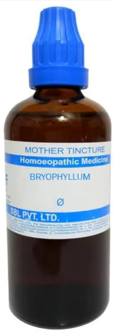 SBL Bryophyllum Calycinum Q - 100ml homeopathic mother tincture for women’s health and urinary wellness support