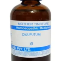 SBL Cajuputum Q - 100ml homeopathic mother tincture for respiratory health, cough and muscle comfort support