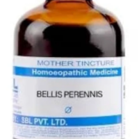 SBL Bellis Perennis Q - 100ml homeopathic mother tincture for injury recovery, muscle soreness and physical wellness