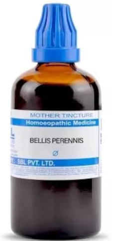 SBL Bellis Perennis Q - 100ml homeopathic mother tincture for injury recovery, muscle soreness and physical wellness