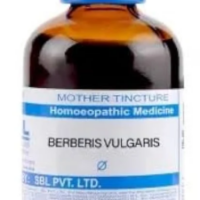 SBL Berberis Vulgaris Q - 100ml homeopathic mother tincture for kidney and urinary wellness support