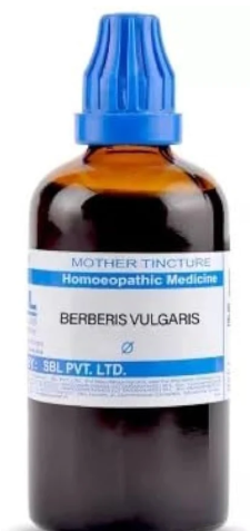 SBL Berberis Vulgaris Q - 100ml homeopathic mother tincture for kidney and urinary wellness support