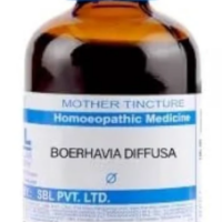 SBL Boerhaavia Diffusa Q - 100ml homeopathic mother tincture for kidney, liver and urinary wellness support