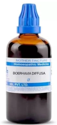 SBL Boerhaavia Diffusa Q - 100ml homeopathic mother tincture for kidney, liver and urinary wellness support