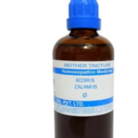 SBL Acorus Calamus Q - 100ml homeopathic mother tincture for digestive, nervous and respiratory wellness support