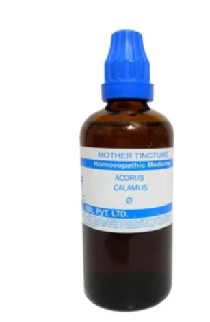 SBL Acorus Calamus Q - 100ml homeopathic mother tincture for digestive, nervous and respiratory wellness support