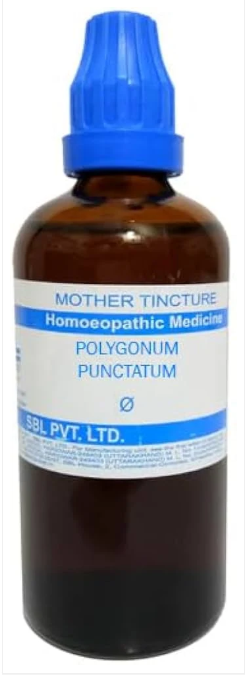SBL Polygonum Punctatum Q 100ml homeopathic mother tincture for urinary health and female wellness