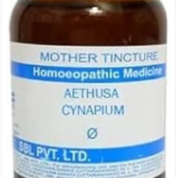 SBL Aethusa Cynapium Q - 100ml homeopathic mother tincture for digestive health and nervous wellness