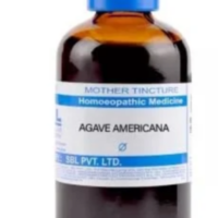 SBL Agave Americana Q - 100ml homeopathic mother tincture for digestive, liver and urinary wellness support