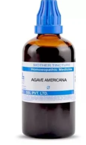 SBL Agave Americana Q - 100ml homeopathic mother tincture for digestive, liver and urinary wellness support