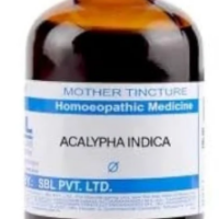SBL Acalypha Indica Q - 100ml homeopathic mother tincture for respiratory health, cough and digestive wellness