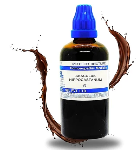 SBL Aesculus Hippocastanum Q - 100ml homeopathic mother tincture for hemorrhoids, vein health and circulatory wellness