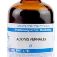 SBL Adonis Vernalis Q - 100ml homeopathic mother tincture for heart health and circulatory wellness