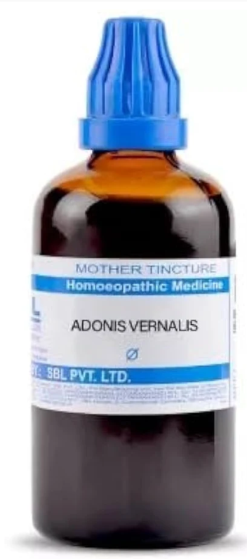 SBL Adonis Vernalis Q - 100ml homeopathic mother tincture for heart health and circulatory wellness