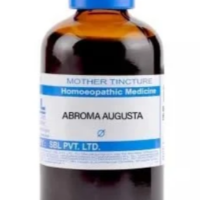SBL Abroma Augusta Q - 100ml | Homeopathic Mother Tincture for Women's Health & Menstrual Wellness