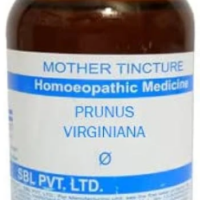 SBL Prunus Virginiana Q 100ml homeopathic mother tincture for dry cough and respiratory health