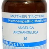 SBL Angelica Archangelica Q - 100ml homeopathic mother tincture for digestive health and respiratory wellness