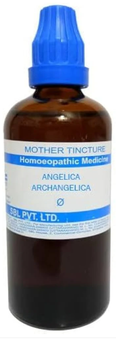 SBL Angelica Archangelica Q - 100ml homeopathic mother tincture for digestive health and respiratory wellness