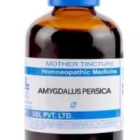 SBL Amygdalus Persica Q - 100ml homeopathic mother tincture for digestion, appetite and respiratory wellness