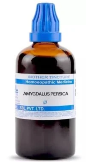 SBL Amygdalus Persica Q - 100ml homeopathic mother tincture for digestion, appetite and respiratory wellness