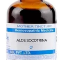 SBL Aloe Socotrina Q - 100ml homeopathic mother tincture for piles, digestive health and abdominal bloating