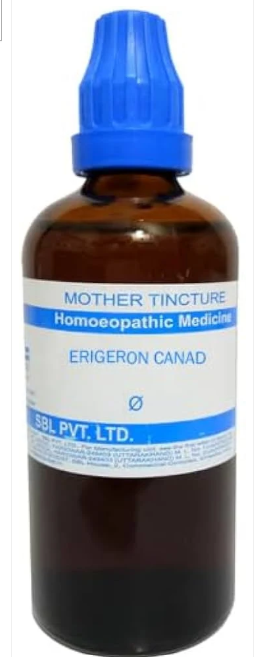 SBL Erigeron Canadense Q - 100ml homeopathic mother tincture for menstrual, urinary and bleeding-related wellness