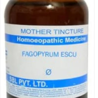 SBL Ficus Indica Q - 100ml homeopathic mother tincture for digestive, urinary and general wellness