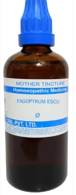 SBL Ficus Indica Q - 100ml homeopathic mother tincture for digestive, urinary and general wellness