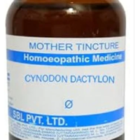 SBL Cynodon Dactylon Q - 100ml homeopathic mother tincture for urinary, digestive and general wellness