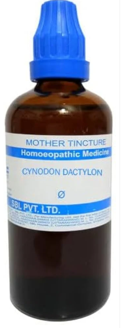 SBL Cynodon Dactylon Q - 100ml homeopathic mother tincture for urinary, digestive and general wellness