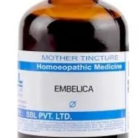 SBL Embelica Officinalis Q - 100ml homeopathic mother tincture for digestive, hair and general wellness