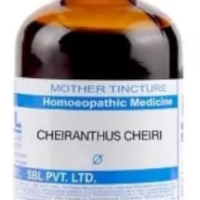 SBL Cheiranthus Cheiri Q - 100ml homeopathic mother tincture for dental, gum, oral and throat wellness
