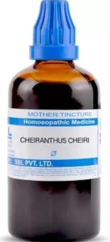 SBL Cheiranthus Cheiri Q - 100ml homeopathic mother tincture for dental, gum, oral and throat wellness