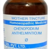SBL Chenopodium Anthelminticum Q - 100ml homeopathic mother tincture for digestive and intestinal wellness