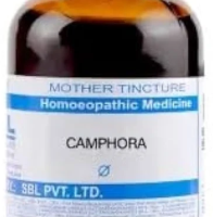 SBL Camphora Q - 100ml homeopathic mother tincture for cold, respiratory and circulatory wellness