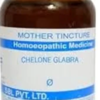 SBL Chelone Glabra Q - 100ml homeopathic mother tincture for liver, gallbladder and digestive wellness