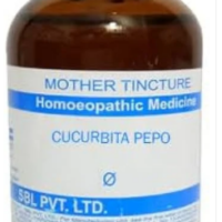 SBL Cucurbita Pepo Q - 100ml homeopathic mother tincture for urinary, bladder, prostate and digestive wellness