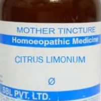 SBL Citrus Limonum Q - 100ml homeopathic mother tincture for digestive, respiratory and general wellness