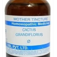 SBL Coccus Cacti Q - 100ml homeopathic mother tincture for cough, throat irritation and respiratory comfort