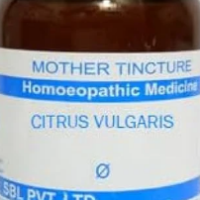SBL Citrus Vulgaris Q - 100ml homeopathic mother tincture for digestive, throat and general wellness