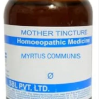 SBL Myrtus Communis Q - 100ml homeopathic mother tincture for respiratory, urinary and mucous membrane wellness