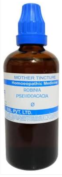SBL Robinia Pseudocacia Q 100ml homeopathic mother tincture for acidity, acid reflux, and digestive health