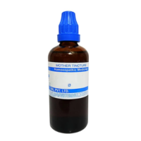 SBL Anethum Graveolens Q - 100ml homeopathic mother tincture for digestion, bloating and appetite support