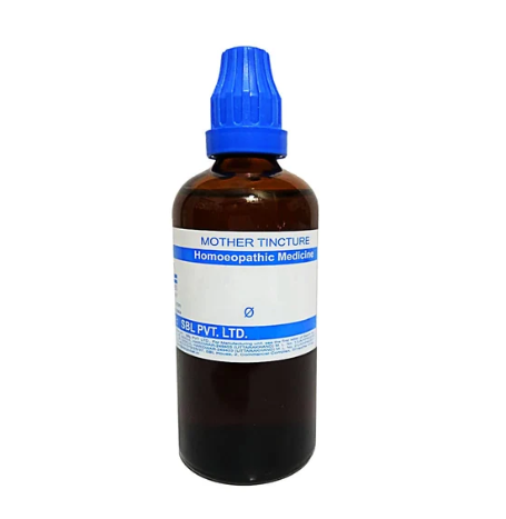 SBL Anethum Graveolens Q - 100ml homeopathic mother tincture for digestion, bloating and appetite support