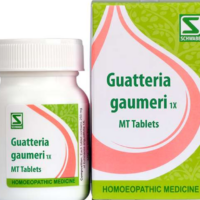 Schwabe Guatteria Gaumeri 1X homeopathic tablets for liver and digestive support