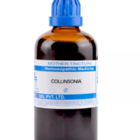 SBL Collinsonia Canadensis Q - 100ml homeopathic mother tincture for hemorrhoidal, venous, rectal and digestive wellness